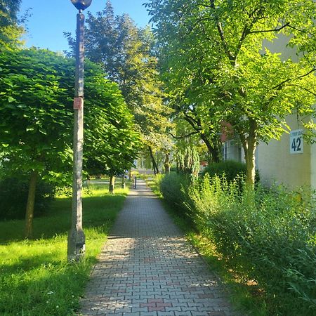 Апартаменти Przytulne Mieszkanie Wola Duchacka Краків Екстер'єр фото